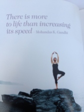 There is more to life than increasing it's speed - Gandhi